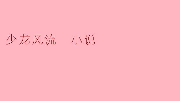 少龙风流 小说